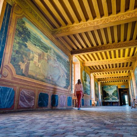 Chambres D'Hotes Au Chateau De Gizeux Exteriör bild