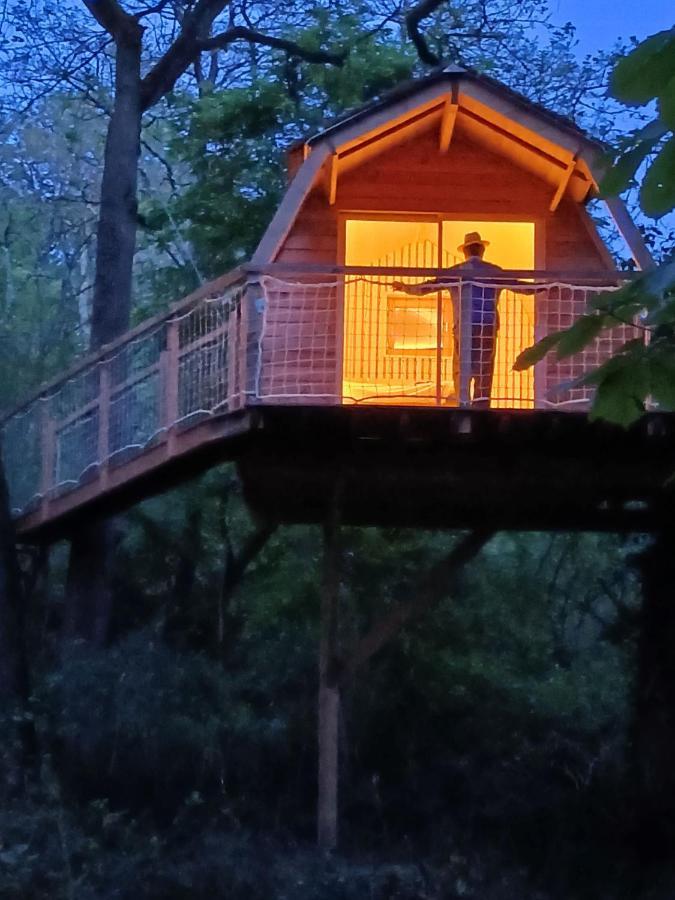 Chambres D'Hotes Au Chateau De Gizeux Exteriör bild