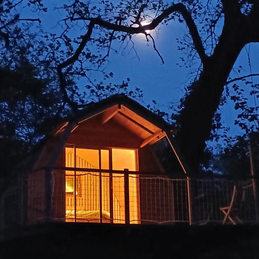 Chambres D'Hotes Au Chateau De Gizeux Exteriör bild
