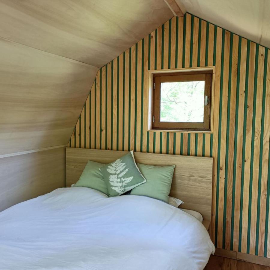 Chambres D'Hotes Au Chateau De Gizeux Exteriör bild