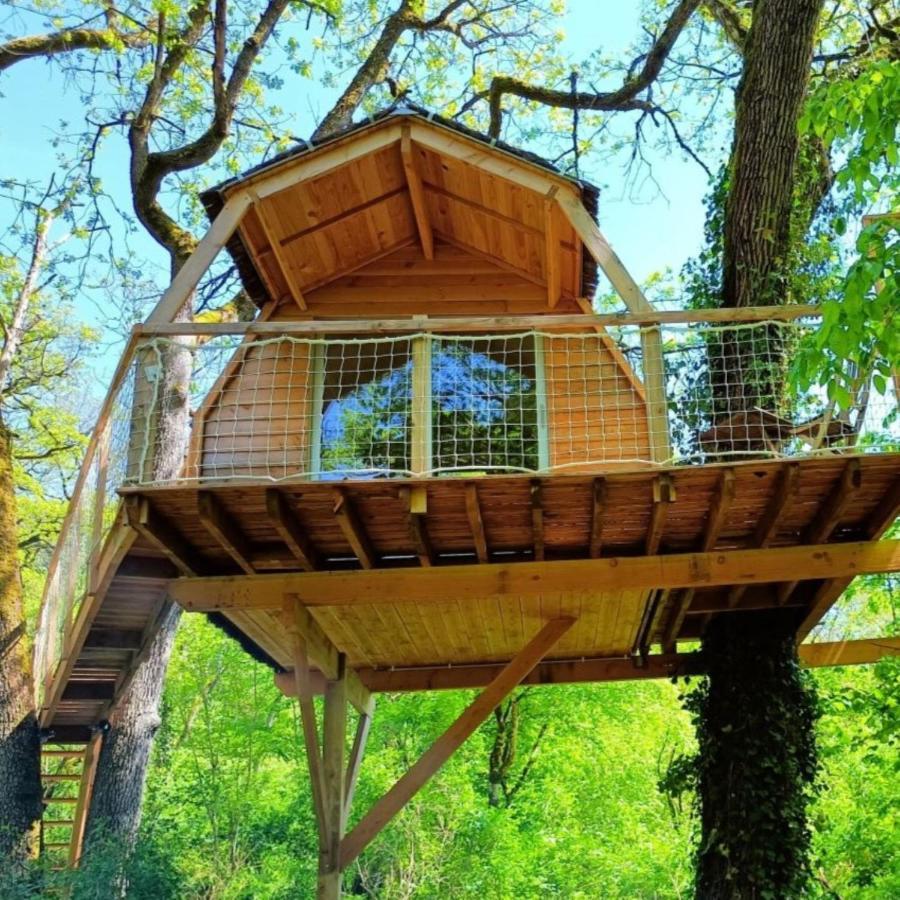 Chambres D'Hotes Au Chateau De Gizeux Exteriör bild